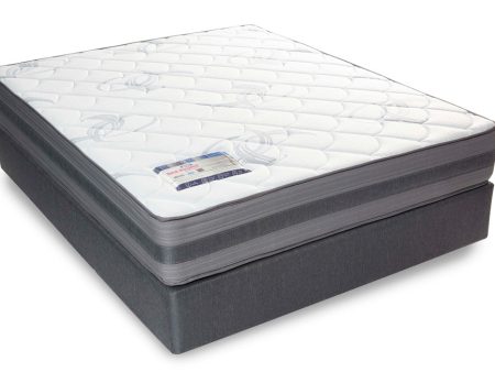 Rest Assured YORK NT Queen Mattress & MJ Base Online Hot Sale