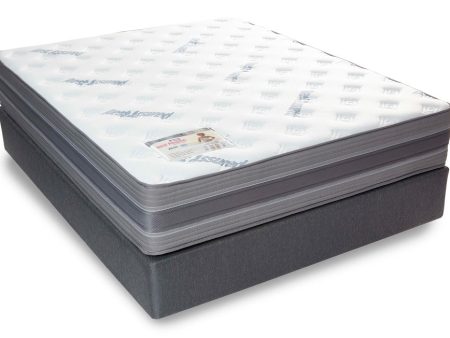 Rest Assured St. Andrews Queen Mattress & MJ Base Online Hot Sale