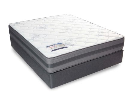 Rest Assured Turnberry Queen Mattress & MJ Base Supply